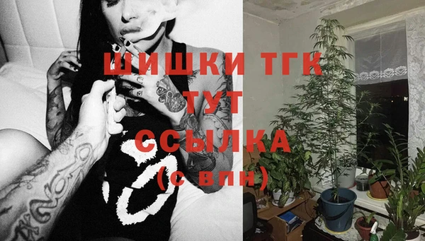амф Бронницы