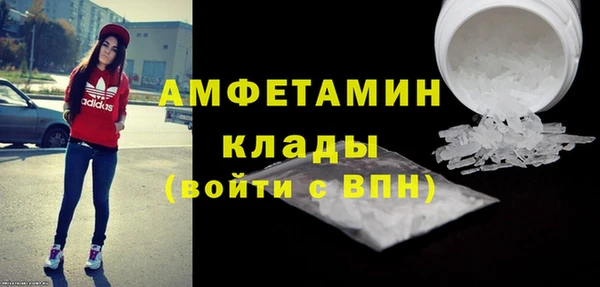 ГАЛЛЮЦИНОГЕННЫЕ ГРИБЫ Верея