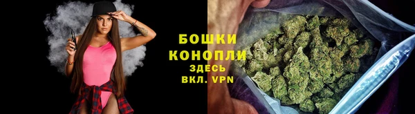ГАЛЛЮЦИНОГЕННЫЕ ГРИБЫ Верея