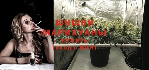ГАЛЛЮЦИНОГЕННЫЕ ГРИБЫ Верея